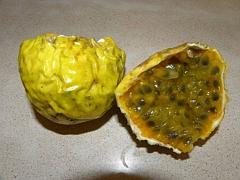 Maracuya