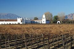 Argentina-Salta-Vineyards
